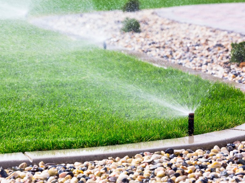 A sprinkler.