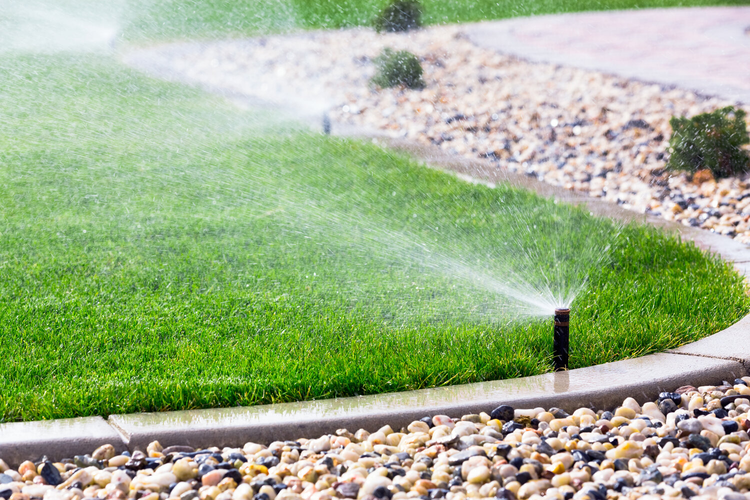 A sprinkler.