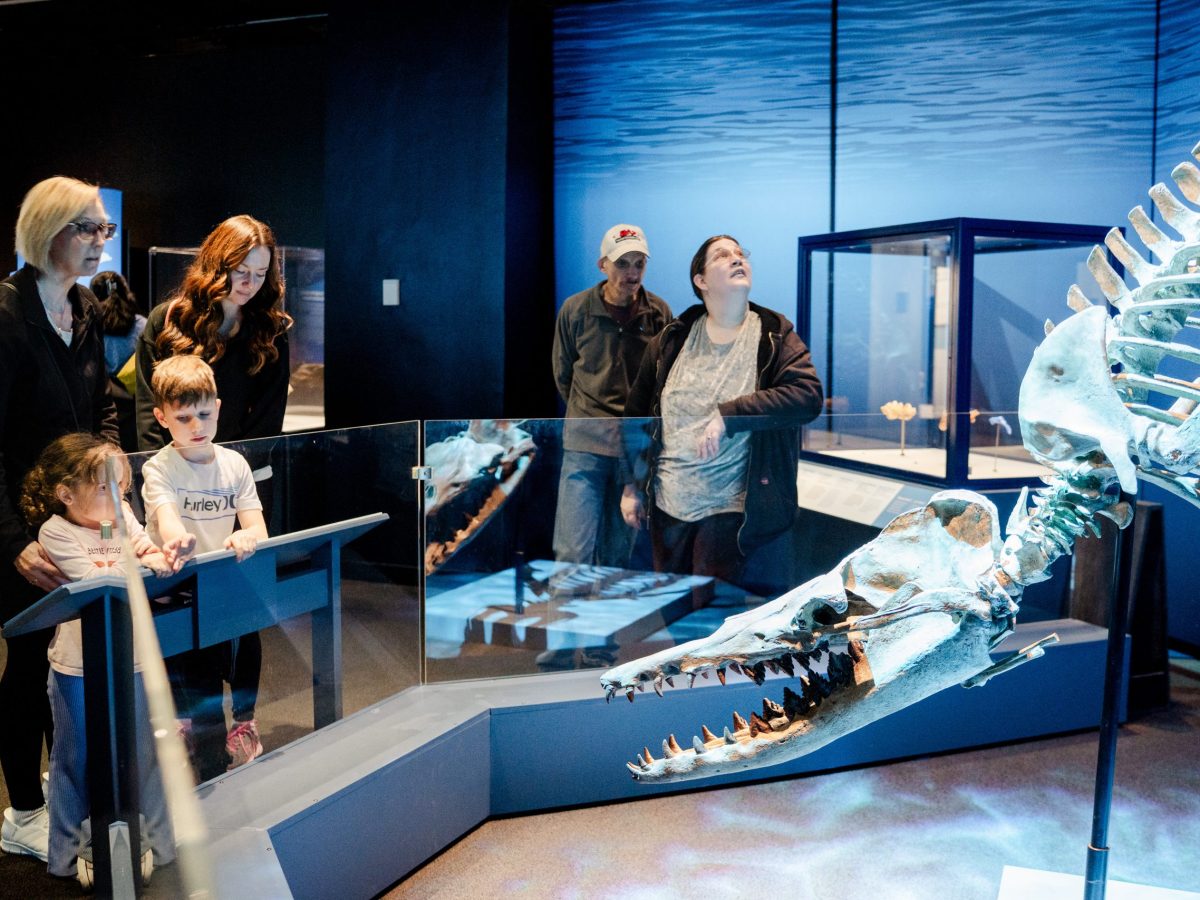 Clarke Reader: Take a Deep Dive in Jurassic Oceans with the Denver Museum of Nature and Science