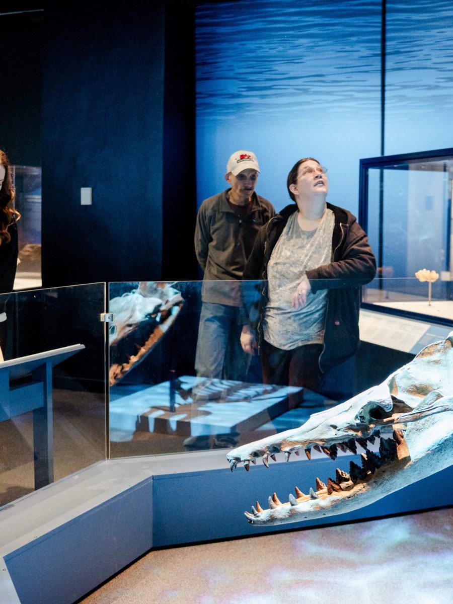 Clarke Reader: Take a Deep Dive in Jurassic Oceans with the Denver Museum of Nature and Science