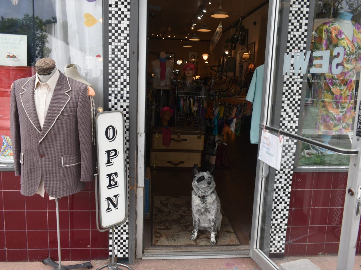 ‘Come for the dogs’ – Denver pets are more than pals, they’re business partners