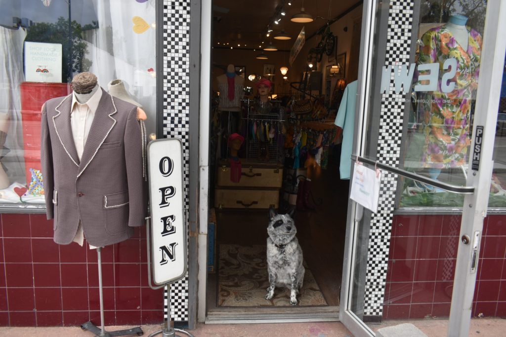 ‘Come for the dogs’ – Denver pets are more than pals, they’re business partners