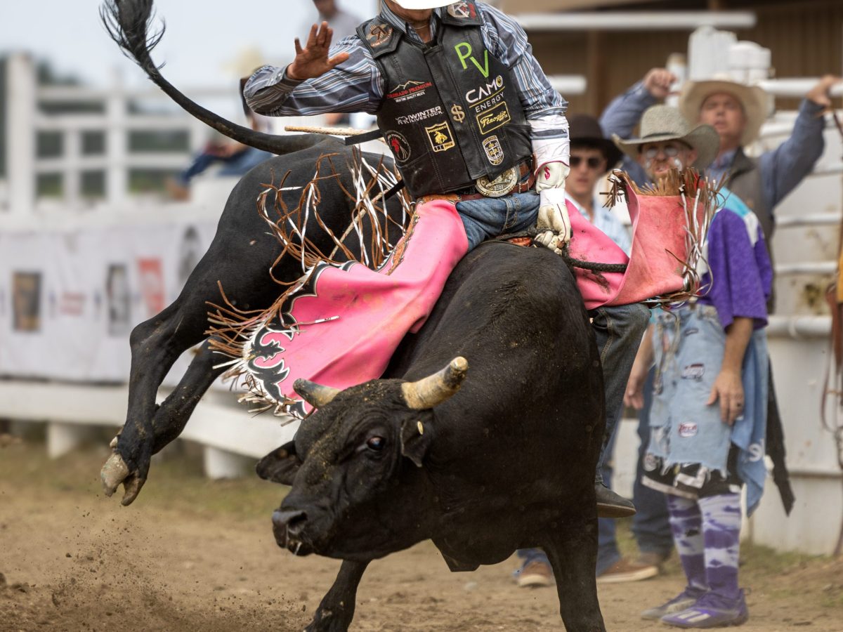 Evergreen Rodeo has record year, unites generations in tradition