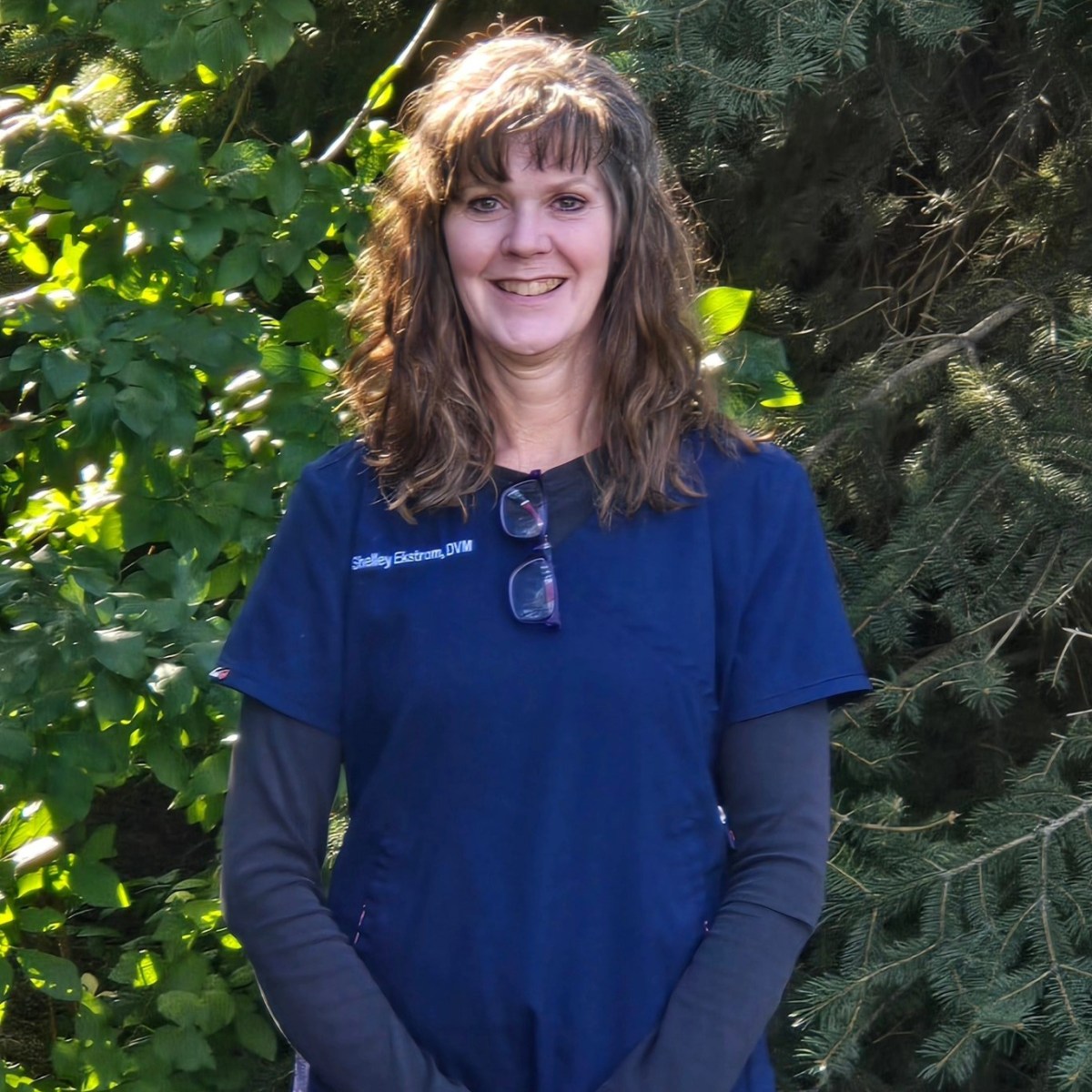 Arvada veterinarian and Conifer resident dies in ATV crash