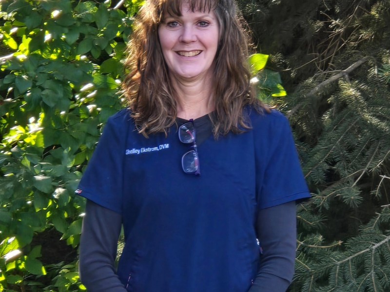 woman in blue scrubs