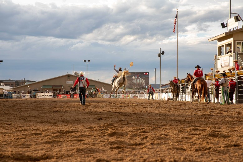 Professionals horse and bull riders perform at a rodeo.
