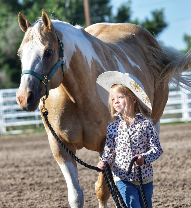 A little girl leads a horse on a rope.