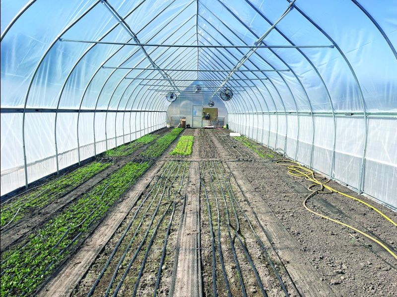 Inside Further Up Farms’ hoop house, neat rows of arugula, kale, spinach, beets and carrots thrive. Tomatoes and peppers will be coming soon.