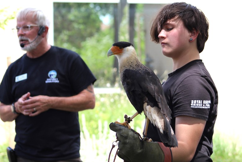 At left, Nature's Educator program specialist Alex Olow talks about Salvador the crested caracara, who's being held by Nature's Educator volunteer Kade Rodenbeck, at right