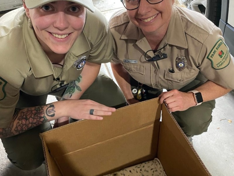 Highlands Ranch park rangers share tips, encourage residents to ‘keep wildlife wild’