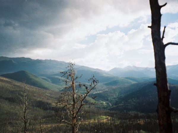 6 experienced campers detail Colorado’s best summer spots