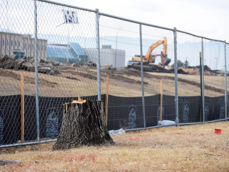 a tree stump next to a fence near a construction site