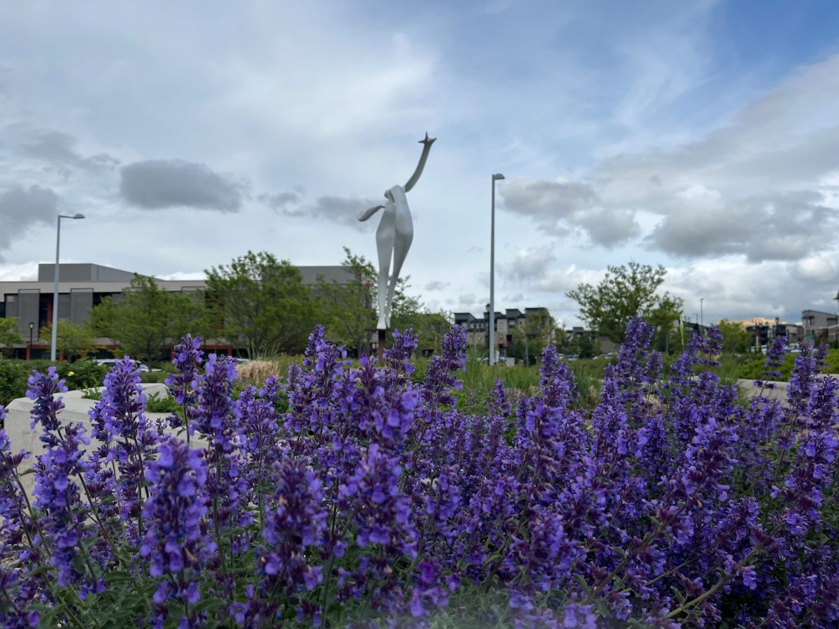Defining art in Lone Tree: survey asks residents about public art