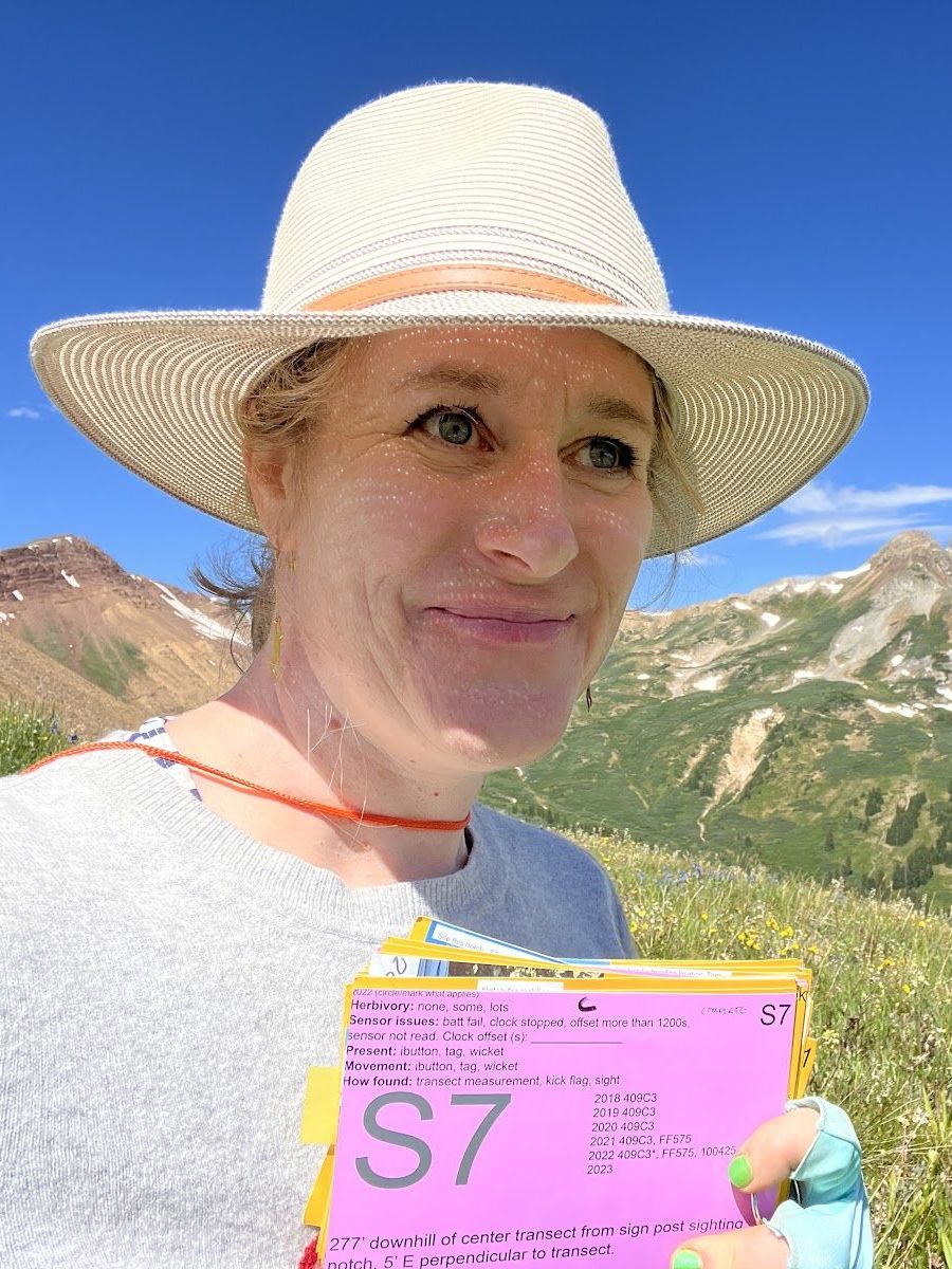 Jeannie Stamberger: This mountain was listed for sale — but not to you