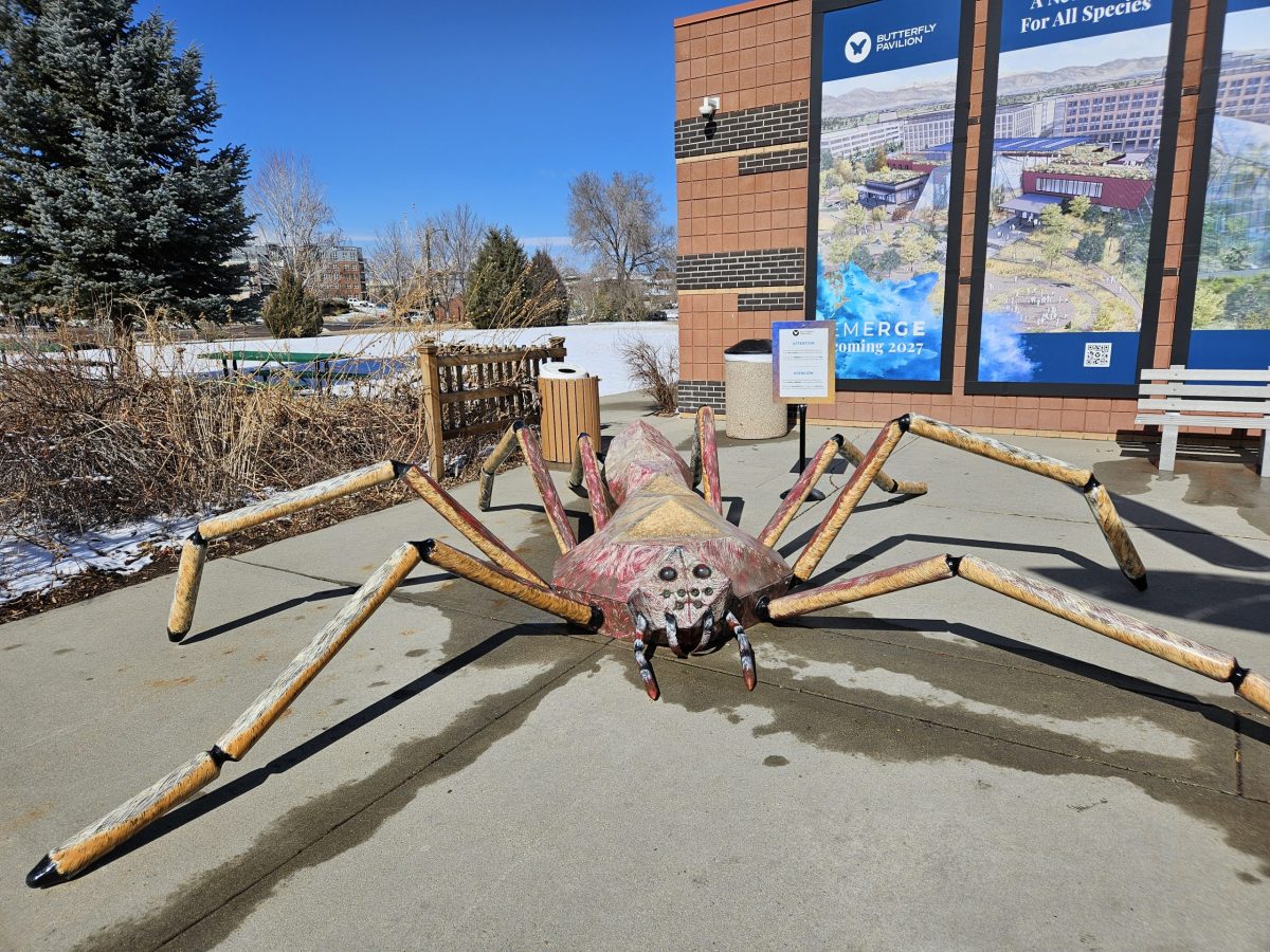 Bugs celebrated this weekend at Butterfly Pavilion’s Insectival: 30th anniversary Bug Bash