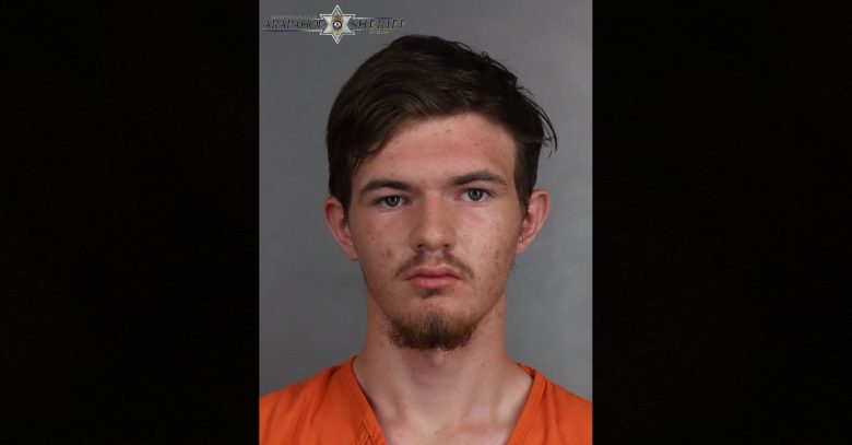 Trenton Moskovita, 18, was arrested on Englewood police on July 7 for allegedly sexually assaulting a child at Pirates Cove Water Park.