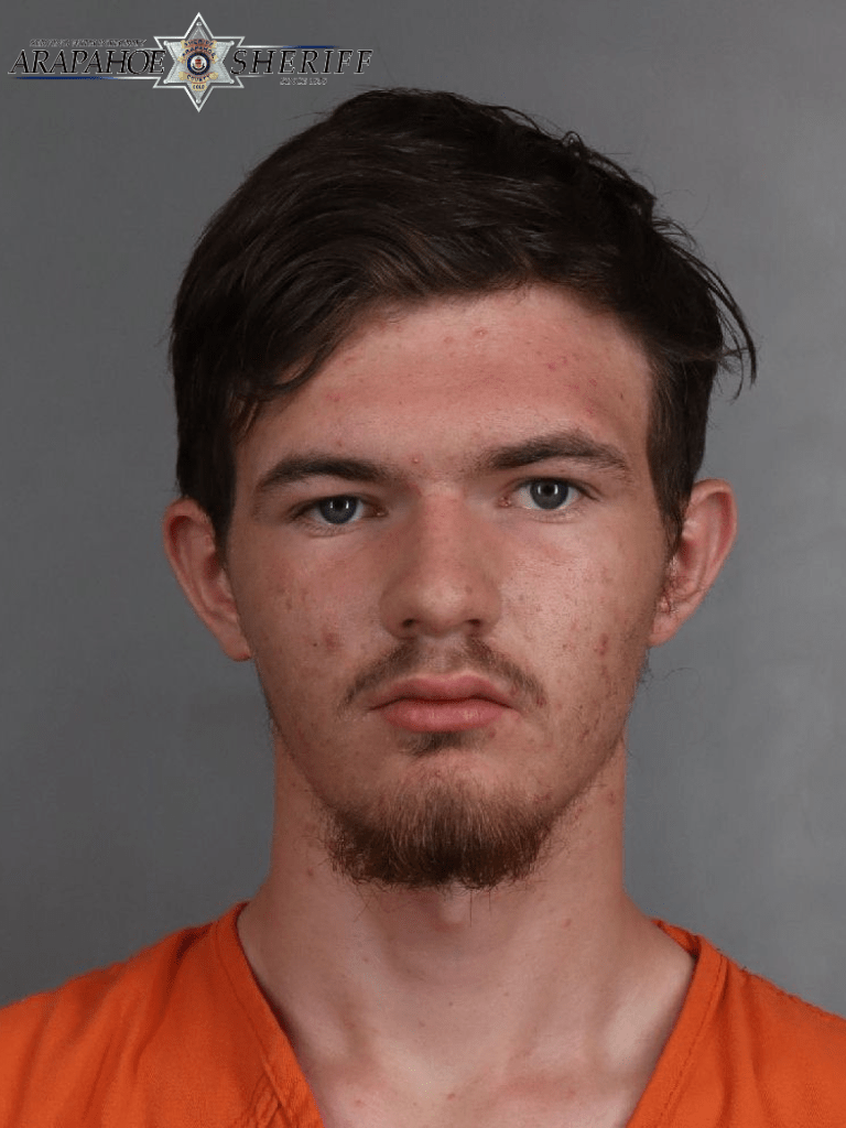 Trenton Moskovita, 18, was arrested on Englewood police on July 7 for allegedly sexually assaulting a child at Pirates Cove Water Park.